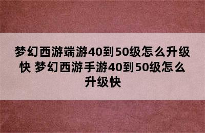 梦幻西游端游40到50级怎么升级快 梦幻西游手游40到50级怎么升级快